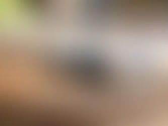 これだけ知っておこう。DIYでウッドデッキを作る時のおすすめ木材