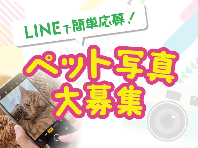 暮らしに役立つ実演会・相談会や楽しいイベント情報をご紹介します。
