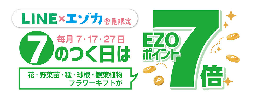 グリーンエゾカ7倍デー