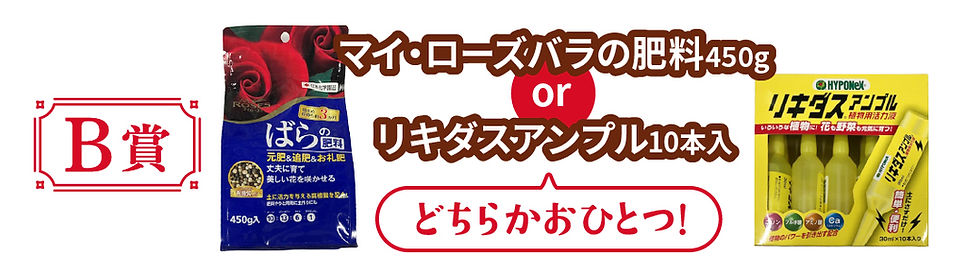 B賞.jpg