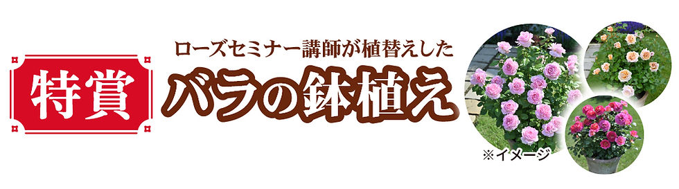 特賞.jpg
