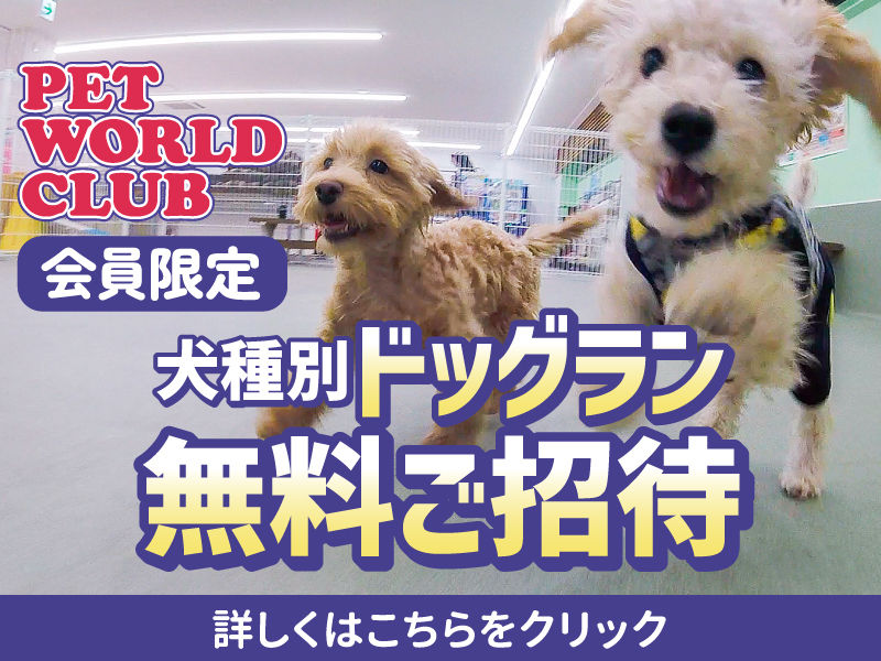 暮らしに役立つ実演会・相談会や楽しいイベント情報をご紹介します。