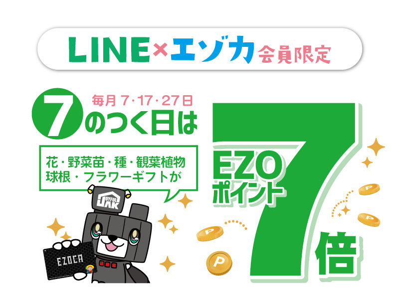 暮らしに役立つ実演会・相談会や楽しいイベント情報をご紹介します。
