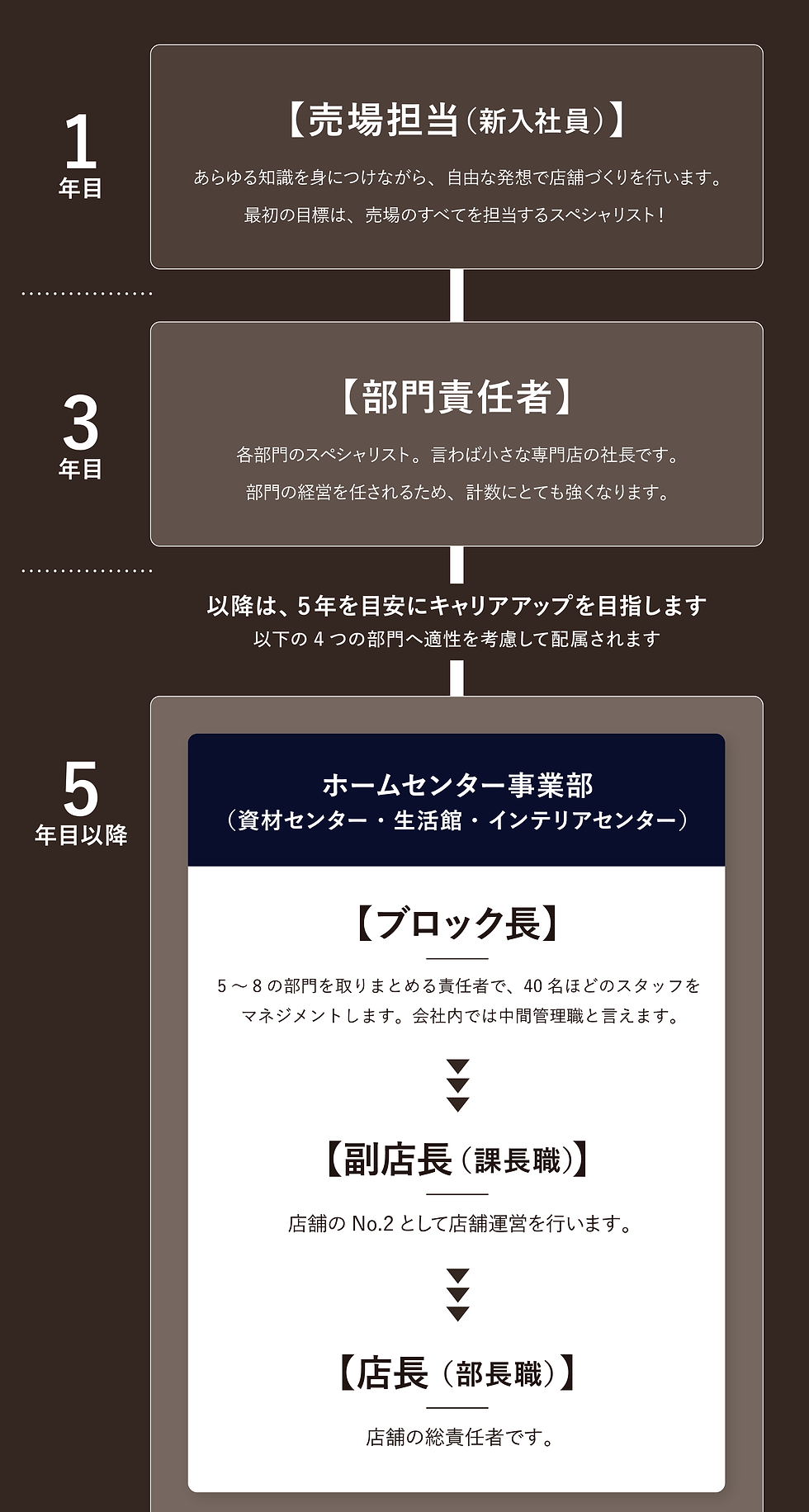 1.3.5年目.png