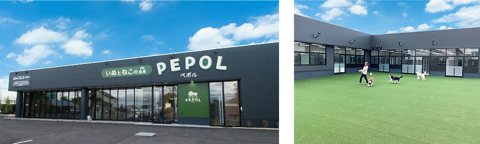 pepol-image.jpg