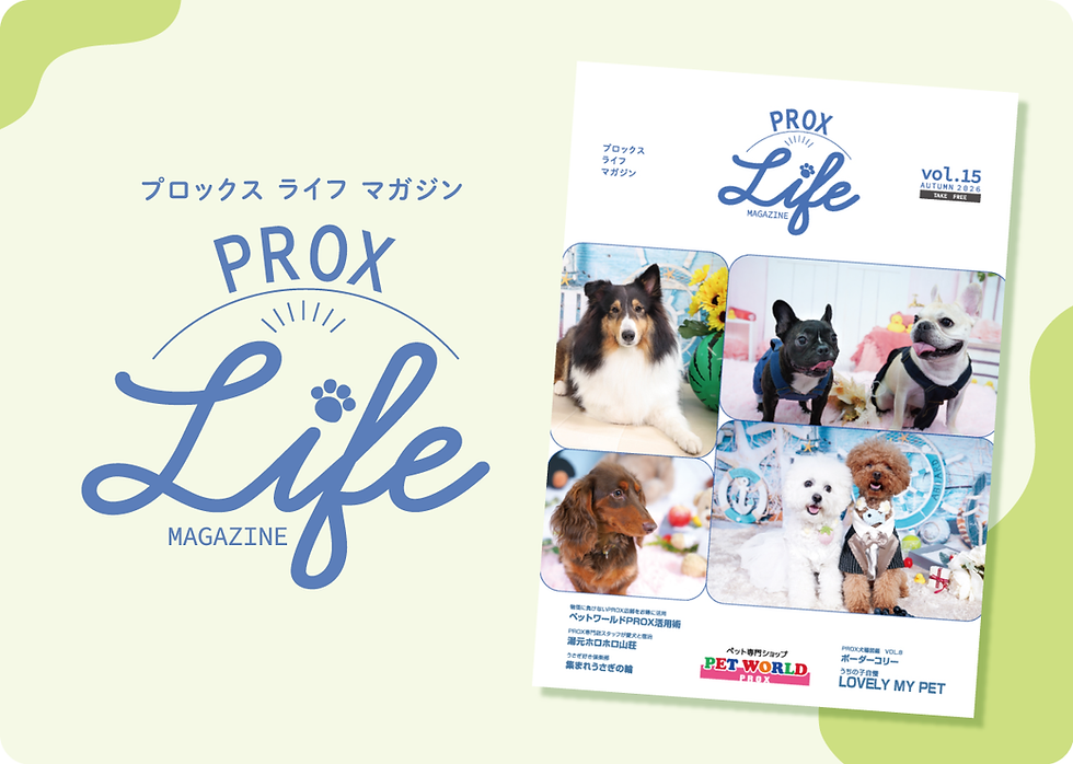 PROXフリーペーパーinfo.png