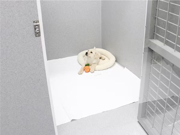 ペットホテル